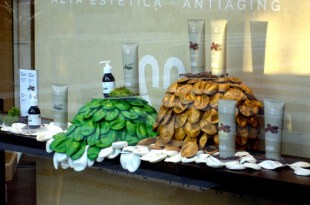 Escaparate de invierno