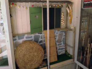 Escaparate de verano en FotoDeco&Souvenir, escaparatista Miquel Pizarro, foto 1