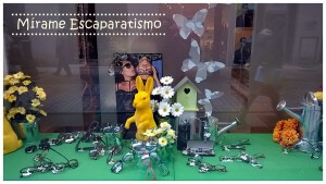 escaparate de primavera en óptica Reina, foto 1