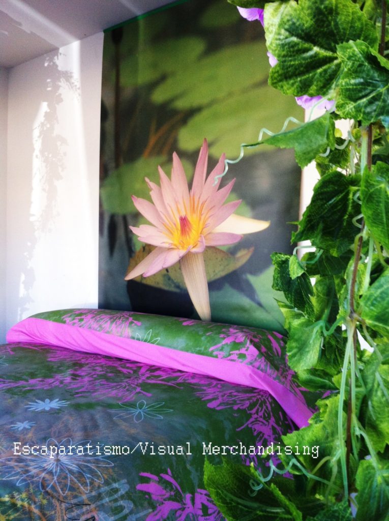 Escapartismo y Visual Merchandising en Valencia, idecor