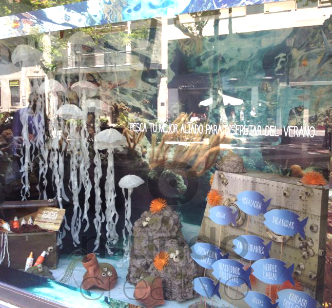 Escaparate de verano en Farmacia Pesca tu mejor aliado para disfrutar del verano, imagen 5